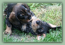 Optima und Ours Optima und Ours