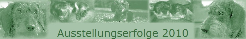 Ausstellungserfolge 2010