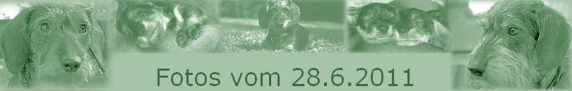 Fotos vom 28.6.2011 Fotos vom 28.6.2011