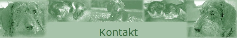 Kontakt