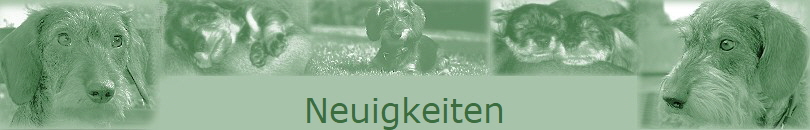 Neuigkeiten