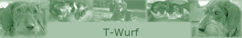 T-Wurf T-Wurf