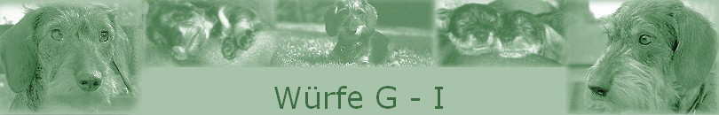 Würfe G - I Würfe G - I